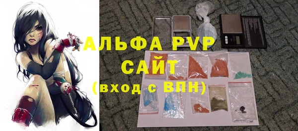 ПСИЛОЦИБИНОВЫЕ ГРИБЫ Вязники