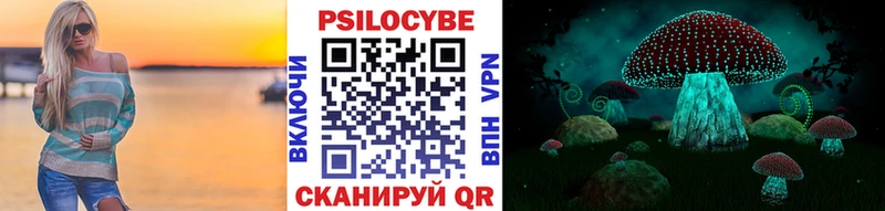 нарко площадка клад  Электроугли  Псилоцибиновые грибы GOLDEN TEACHER 